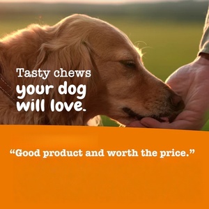 Probióticos para Perros con Alergias, Marca Privada OEM/ODM, Multivitaminas Masticables Blandas, Proteínas, Suplementos para Mascotas para la Salud de Cadera y Articulaciones, Vitaminas - Product Image 5