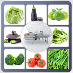 Automatic <strong>Vegetable</strong> <strong>Fruit</strong> <strong>Processing</strong> Line <strong>Fruit</strong> <strong>Vegetable</strong> <strong>Processing</strong> <strong>Machines</strong> - Product Image 5