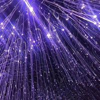 Kit d'éclairage LED à fibres optiques pour arbre, rideau lumineux