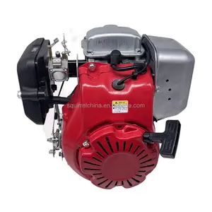 Gasoline WM80 EH09 EH12 GX100 GXR120 LC165 Complete Engine For Rammer