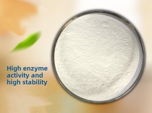 100% puro organico intermedio naturale estratto di Papaya enzima in polvere papaina - Product Image 4