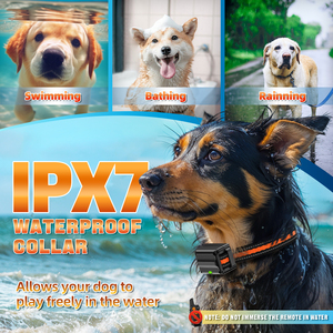 <span class=keywords><strong>Collar</strong></span> de Adiestramiento para Perros Recargable e Impermeable con <span class=keywords><strong>Control</strong></span> Remoto, <span class=keywords><strong>Collar</strong></span> Antiladridos de 7 Palabras Hecho de Plástico - Product Image 4