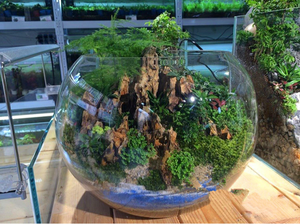 Acquario arancione <span class=keywords><strong>drago</strong></span> artificiale pietra di <span class=keywords><strong>roccia</strong></span> - Product Image 4