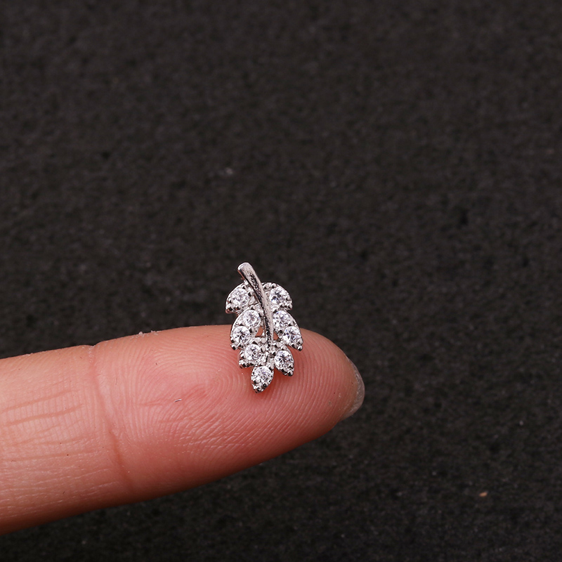 NO4-silver