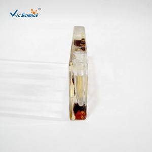 Spécimen de résine spécimens matériels de résine transparente élevée <span class=keywords><strong>histoire</strong></span> de la vie spécimens incorporés d'abeilles - Product Image 5