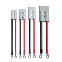 Cable de Silicona con Conductor de Cobre Rojo y Negro de 0.2m/0.3m/0.5m/1m, 50A, Terminal de Anillo, para Baterías Industriales y de RV