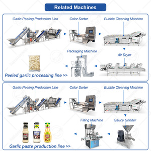 Machine à éplucher <span class=keywords><strong>l</strong></span>'<span class=keywords><strong>ail</strong></span> automatique industrielle OCEAN, type chaîne, <span class=keywords><strong>prix</strong></span> <span class=keywords><strong>de</strong></span> la machine à éplucher <span class=keywords><strong>l</strong></span>'<span class=keywords><strong>ail</strong></span> - Product Image 4