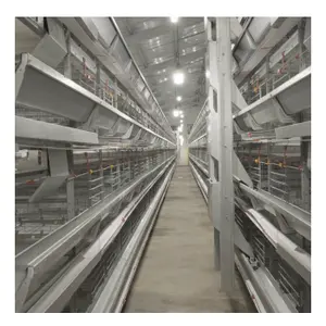 Equipamento de avicultura com bateria para alimentação automática de ovos, sistema automático de alimentação e bebida