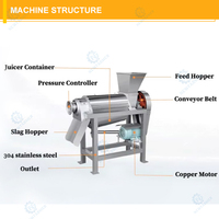 Machine à jus de fruits et légumes industrielle et commerciale, extracteur de jus de citron, gingembre, agrumes et orange en acier inoxydable