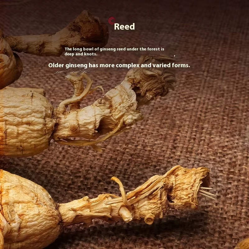 Northeast Changbai Mountain 20-Year Forest Ginseng Dry Good Chinese Herbal Medicine Wild Ginseng Nutritional Supplements