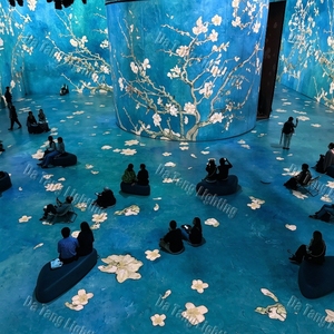 Projection holographique intérieure pour la conception immersive de salles, les scènes numériques, les espaces thématiques et les présentations expérimentales - Product Image 3