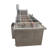 Hoogrenderende Industriële Plantaardige Mango Reiniging Bosbessen Aardbei Fruit Wasmachine