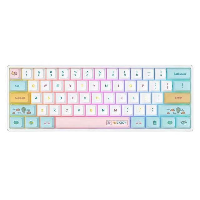 61 Keys Multi-colors RGB Wired Mini Mechanical Keyboard With Lite Gasket