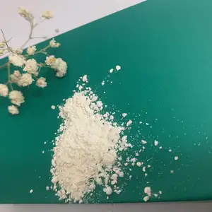 Fornitura di ingredienti naturali a base di erbe papain enzima In polvere alla rinfusa