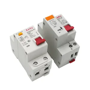 DZ30L escapamento proteção interruptor 1P + N ar interruptor DPN fio duplo com disjuntor de proteção contra vazamento DZ40LE-63