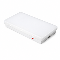 Panneau de sortie de secours LED rechargeable IP65 avec flèche droite et motif homme qui court