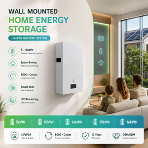 Batterie lithium LiFePO4 murale 51,2 V 300 Ah à succès pour système de stockage d'énergie solaire domestique - Product Image 2