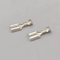 Terminaux de sertissage en alliage de zinc DJ622-D6.3A/B/C, série 6.3, plaqués étain, pressés à froid, pour câblage automobile