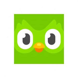 Cuenta Premium de Duolingo Pro, 1 Año, Aplicable Globalmente, Activa Tu Propia Cuenta - Product Image 4