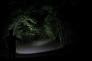 FAVOUR LIGHT 550lm Front & Side Light AA LED <b>Flashlight</b> USB-C <b>Rechargeable</b> IP66 Professional Built-in Magnet Clip - Product Image 6