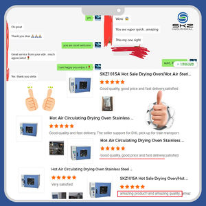 Equipo de Secado al Vacío de Acero Inoxidable con Calefacción a Gas Serie <span class=keywords><strong>CTI</strong></span> SKZ1015-9052D, 81x68x77cm, 65, Ecológico y Biológico - Product Image 5