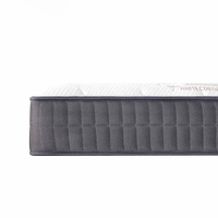 Échantillon gratuit d'usine OEM/ODM Matelas en mousse à double taille King Queen Dream Sleep Matelas orthopédique à ressorts ensachés