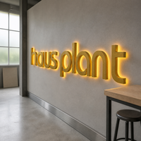 Lettres en métal 3D personnalisées rétroéclairées par LED pour hôpitaux et entreprises, étanches IP65, publicité extérieure pour devantures de magasins