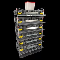 Nouvelle cage à cailles galvanisée en fil métallique de type H à 3-4 niveaux multi-couches pour élevage avicole, facile à utiliser