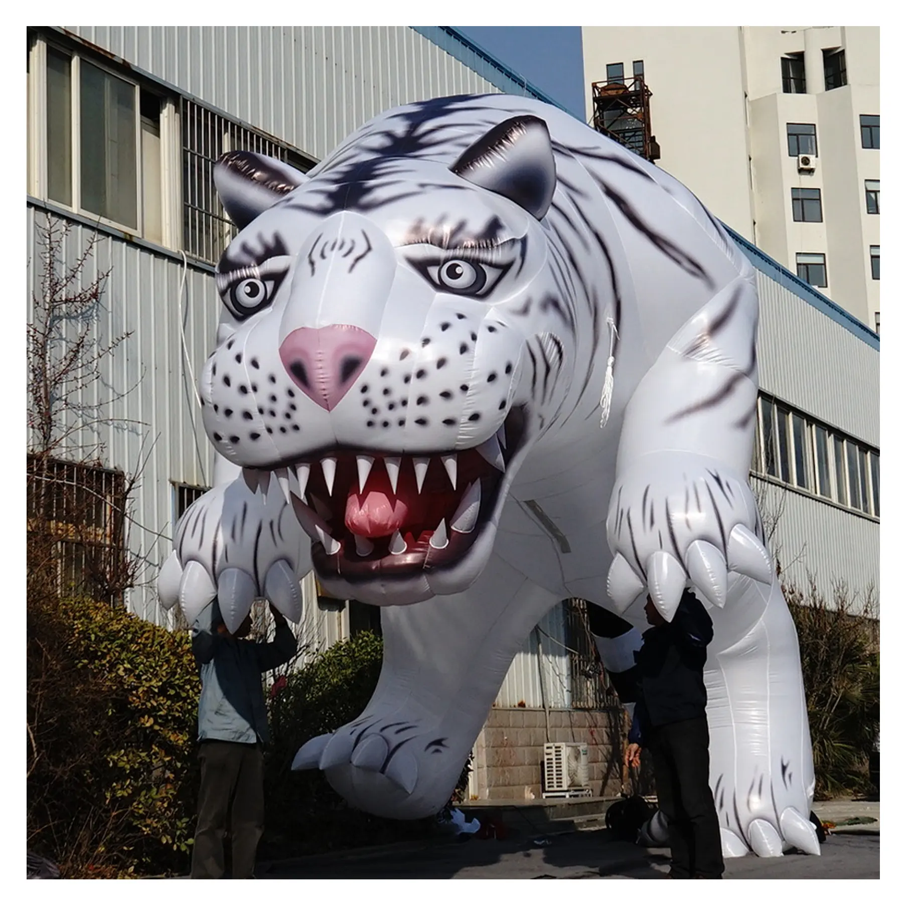 7M Panjang Custom Made Raksasa Inflatable Sengit Harimau Putih Hewan Kebun Binatang Iklan