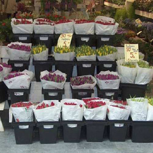 Boutique de fleurs de pépinière seau à fleurs sèches <span class=keywords><strong>en</strong></span> eau profonde seau à fleurs <span class=keywords><strong>en</strong></span> plastique pour le réveil seau à tournesols - Product Image 5