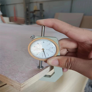 Contreplaqué mince de taille de porte de 2.5mm,3.2mm 4.2mm pour la fabrication de portes intérieures - Product Image 3