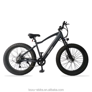 <span class=keywords><strong>Bicicleta</strong></span> eléctrica <span class=keywords><strong>Phoenix</strong></span> 500W Ebike Fat Tire Ebike hidráulica Marco de aluminio Cinturón Cadena <span class=keywords><strong>Bicicleta</strong></span> eléctrica de montaña - Product Image 2