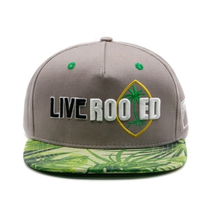 Gorra Snapback con logotipo personalizado bordado impreso sombreros de proceso complejo último estilo gorra de 5 paneles para hombres y mujeres - Product Image 1