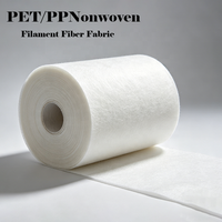 OEM ODM Spunbond Nonwoven Plain Fabric PET&PP Filament Fiber Polyester Waterproof Breathable Medium Weight Tear Resistant Cloth