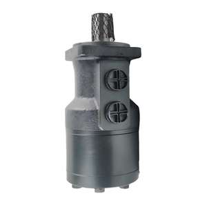 Motor Hidráulico de Bajo Precio y Alto Rendimiento, Alto Torque 200 Nm 3000 RPM BM1-250 BM1-125 BM1-160 BM1-200 Eaton Orbital Hansen 1 - Product Image 6