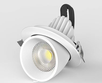 Lampu Tanam LED Spektrum Penuh Gimbal Harga Pabrik 20W-40W COB untuk Pembungaan, Bibit, Rumah Kaca, CRI Tinggi 97