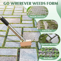Brosse de nettoyage pour jardin, brosse à récurer les joints, brosse à récurer les carreaux, outil pour carrelage, brosse à désherber en fil métallique