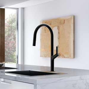 Robinet mélangeur KEMEN, robinet à poignée unique, acier inoxydable 304 316, noir, robinet de cuisine avec douchette extractible - Product Image 4