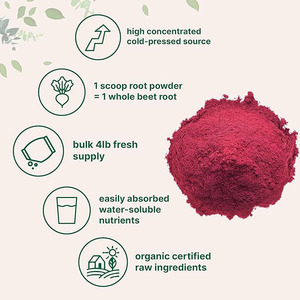 Suppléments nutritionnels personnalisés en poudre pour jus smoothies performance absorber facilement le supplément de poudre de racine de betterave - Product Image 3