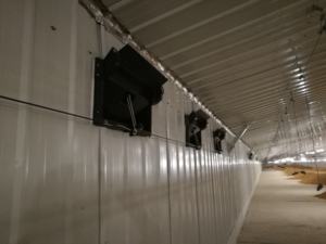 2024 nouvelle Structure en acier léger préfabriqué bâtiment de ferme personnalisé poulet canard volaille maison bâtiment - Product Image 2