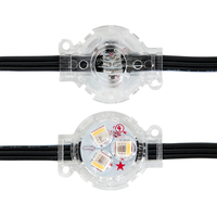 SHIJI moderno impermeable al aire libre 30mm LED punto fuente de luz SMD5050 RGB 24V LED Pixel luz para el hogar