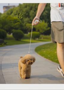 Guinzaglio per Cani Retrattile Impermeabile con Blocco Rapido a Un Tasto, Nuovo e Molto Venduto - Product Image 5