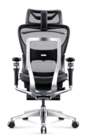 Chaise de bureau ergonomique en maille avec repose-pieds, appui-tête réglable et soutien lombaire, chaise d'ordinateur inclinable, pour l'étude