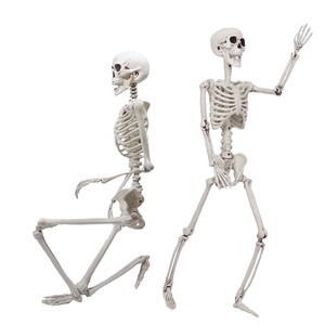 5.3ft 160cm posa scheletro Prop ossa umane realistiche scheletro di Halloween per Halloween casa stregata Indoor Outdoor - Product Image 1