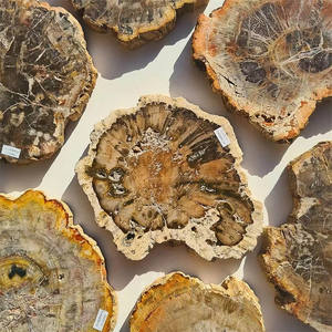 Groothandel natuurlijk gepolijste fossiele houten plaat ruwe versteende houten steensnede specimen met Feng Shui & Boeddhistisch thema - Product Image 1