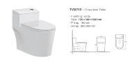 Sanitaires d'hôtel modernes, WC monobloc à double chasse, chasse cyclonique, céramique blanche, montage au sol, siphon en S, hôpital/villa