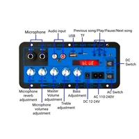 Mini amplificateur numérique mono D20-II pour la maison avec entrées USB et TF, puissance 50W, double microphone, télécommande, DC12V/24V