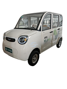 Solution multi-expédition de haute qualité pour véhicule à quatre roues pour adultes, configurations multiples pour le transport maritime, aérien et terrestre - Product Image 4