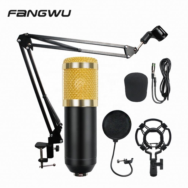 2020 OEM Condenser Studio Microphone Bm 800