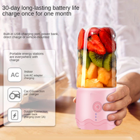 Draagbare Blender Huishoudelijke Fruitmixer Zes Bladen In 3d 300Ml Usb Juicer Cup
